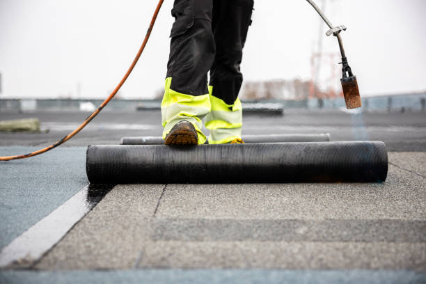 Best Asphalt Shingles Roofing  in Bloomer, WI